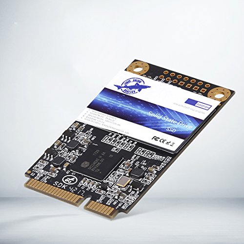 Dogfish Msata 60GB 内蔵型 ミニ ハードディスク SSD SATA3 PC Mini Sata (60GB, MSATA)